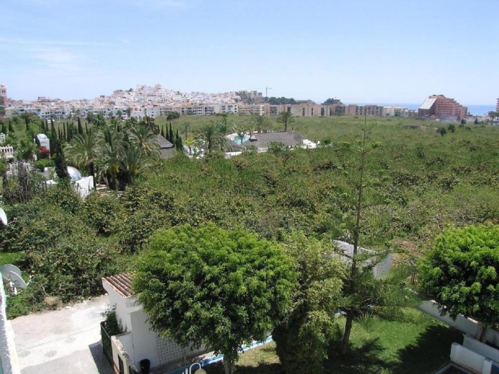 Las Palmeras Almunecar Luaran gambar