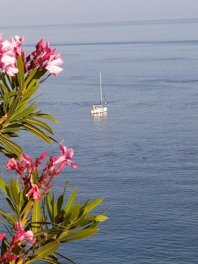 Las Palmeras Almunecar Luaran gambar