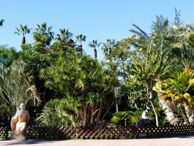 Las Palmeras Almunecar Luaran gambar